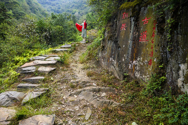 石头墙 树林 山谷 悬崖 户外 草地 巨石 植物 老人