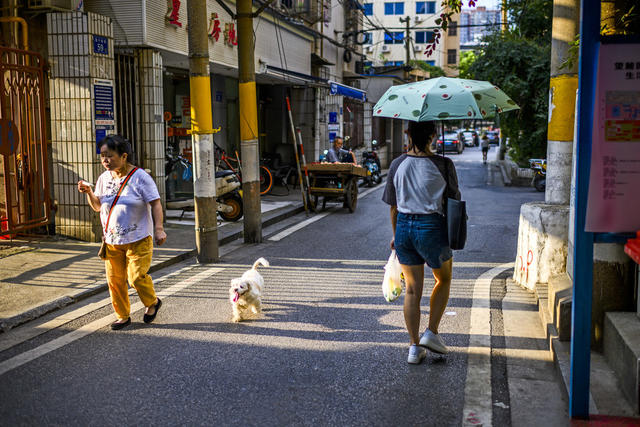 电动车 街道 街景 垃圾箱 箱包 桶 手推车 杂货店 称 衣物 扫帚 铲子 汽车 理发店 理发椅 餐厅 篮子 拐杖