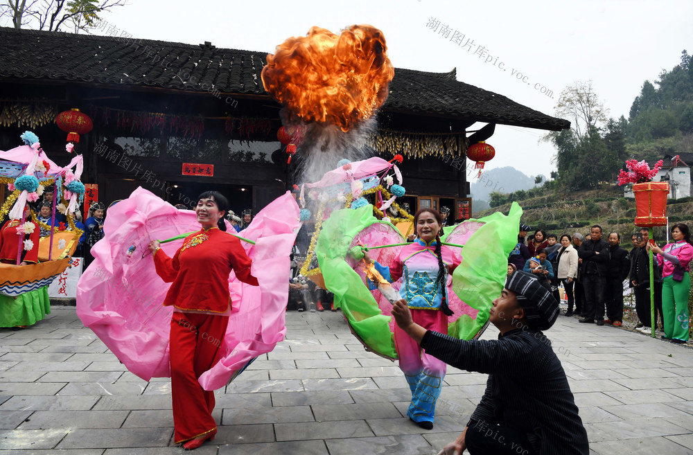 茶旅 融合 非遗 花灯 舞狮 武术 蚌壳舞 舞龙 添彩