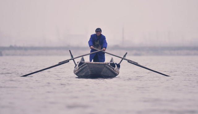 环保 义务 护鸟 湿地 洞庭  岳阳 捕猎 保护区 猎枪