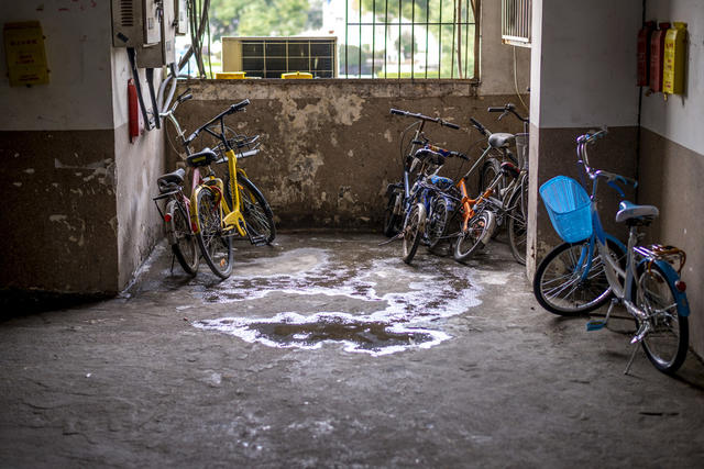街道 杂货店 街景 烟草店 自行车 三轮车 家居物品 纱窗 滑雪 垃圾箱 美女 工地 铲子