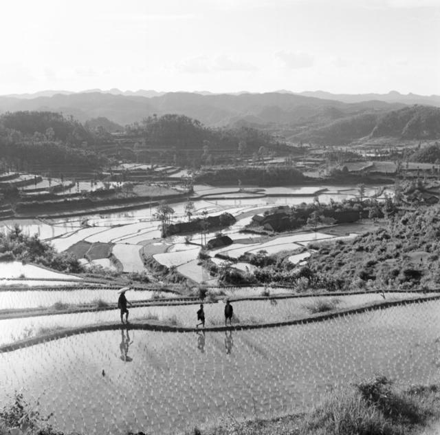 花垣县 公社  下寨河隧道工程 养猪
