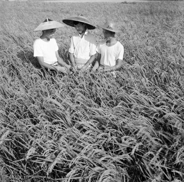 宁远县 礼仕湾公社 欣欣大队 学习毛主席著作群众运动 柏建女 唐法庭