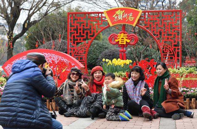 晓园公园  迎新春  花卉  灯笼