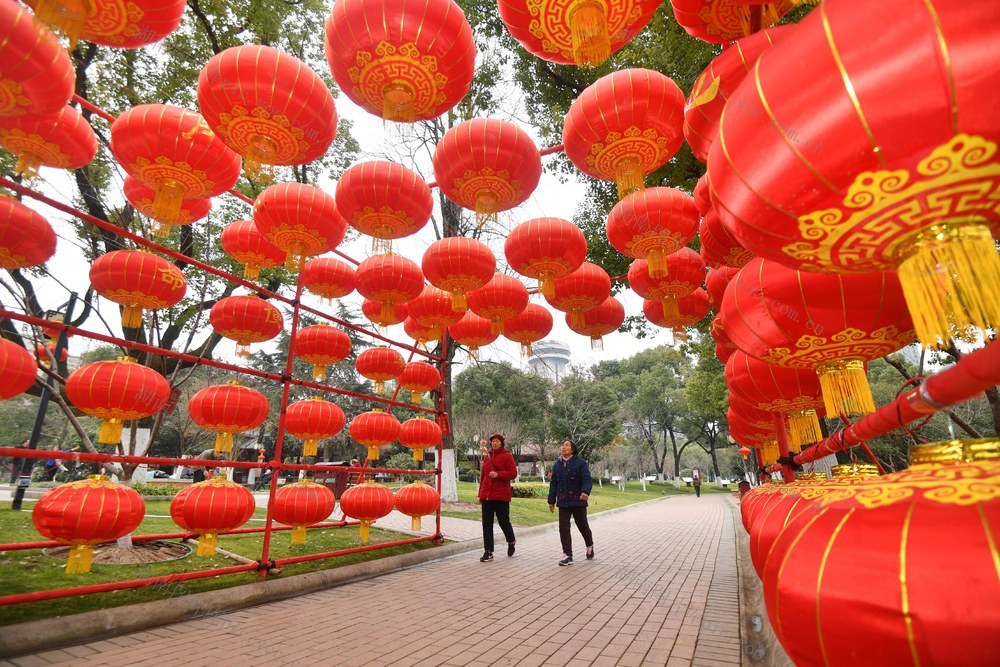 晓园公园  迎新春  花卉  灯笼