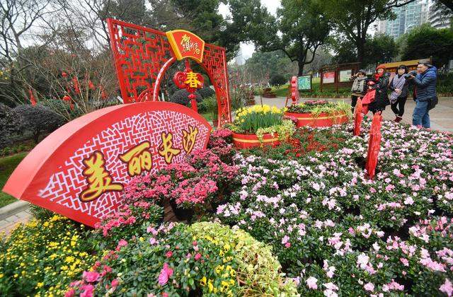 晓园公园  迎新春  花卉  灯笼