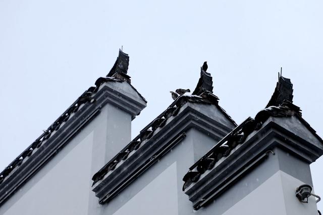2022年春雪 清明上河图 江南