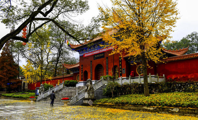 旅游