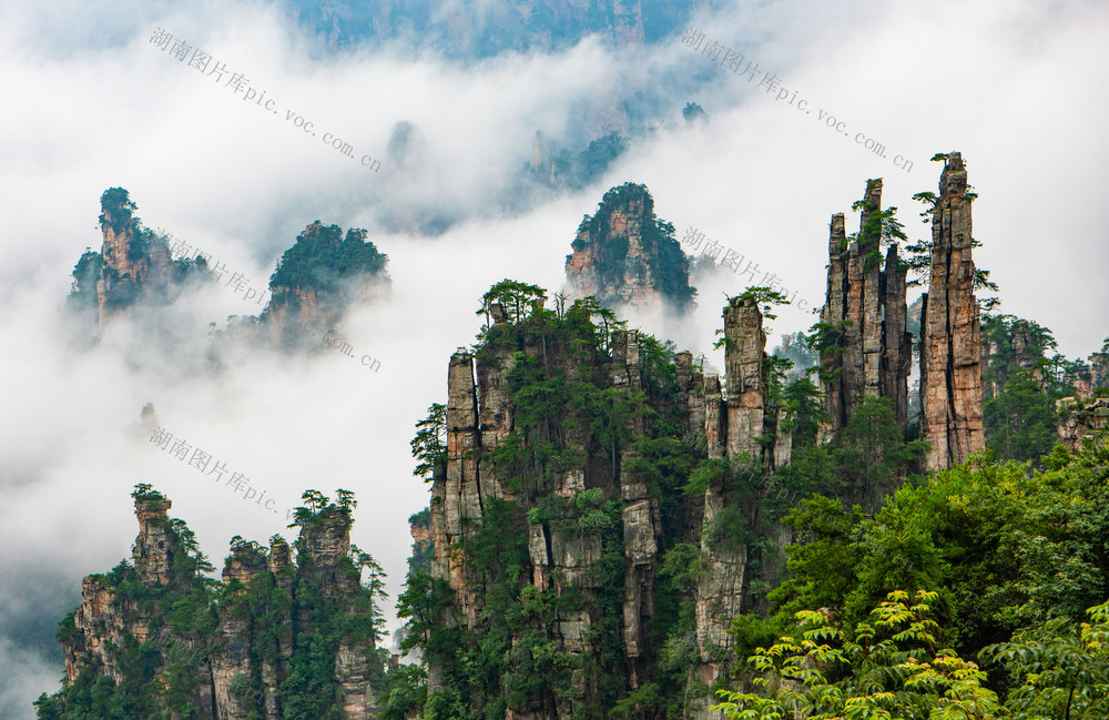 云雾  奇山异水 武陵源 天子山