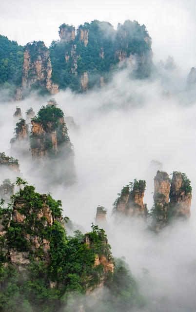 云雾  奇山异水 武陵源 天子山