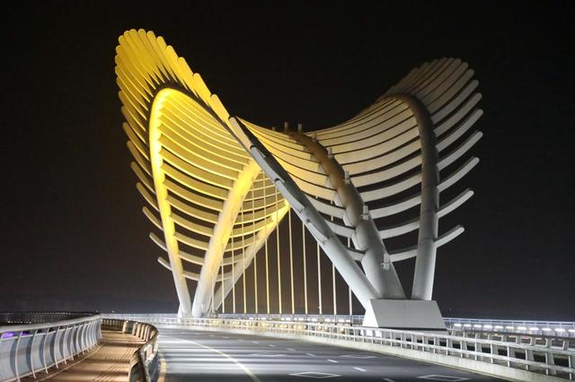 2022年除夕 春节 大年三十 桥夜景