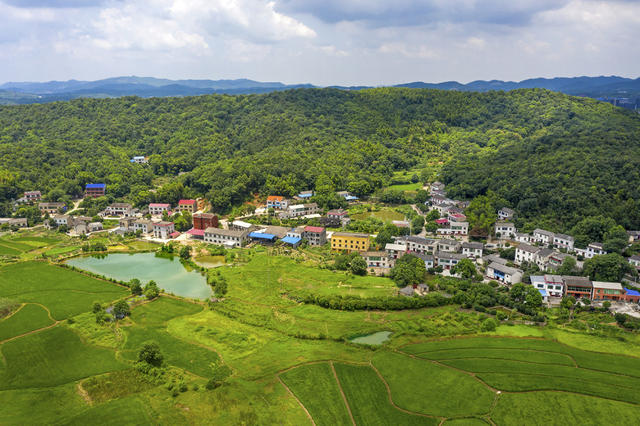 美丽屋场    含浦街道     乡村新貌