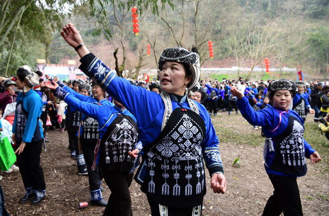 调年节 苗族 山歌 龙狮 祭祖