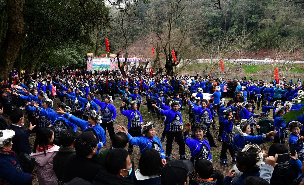 调年节 苗族 山歌 龙狮 祭祖