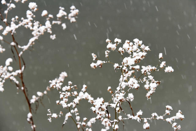 湖南；瑞雪；立春；春耕生产。