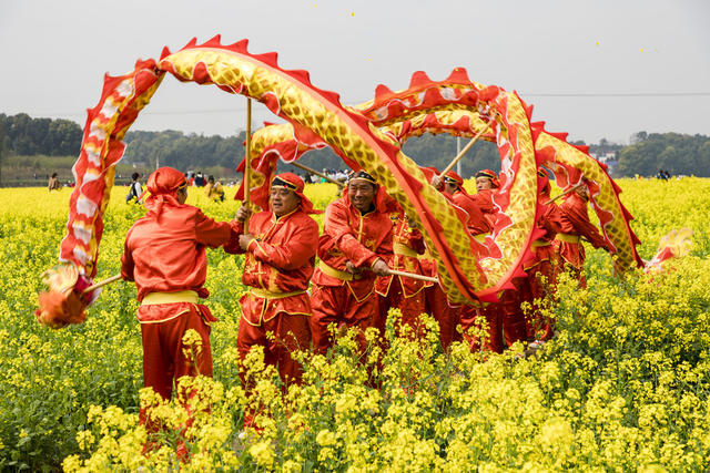 美丽乡村  舞龙  油菜花  
乡村振兴  旅游文化节