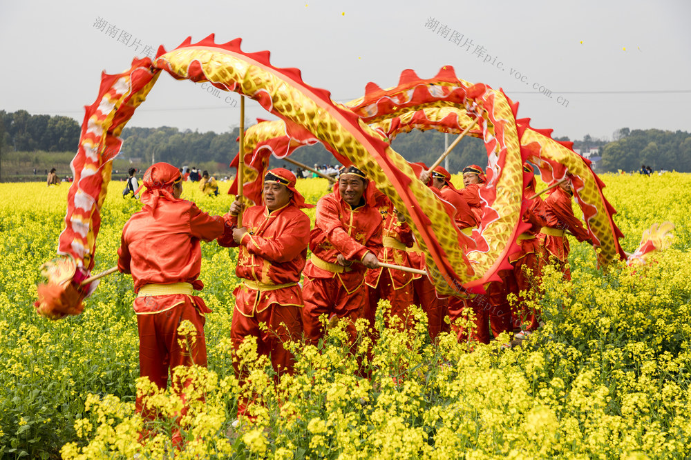 美丽乡村  舞龙  油菜花  
乡村振兴  旅游文化节