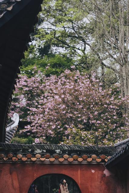 龙兴讲寺 宋朝 学院 沅江 酉水