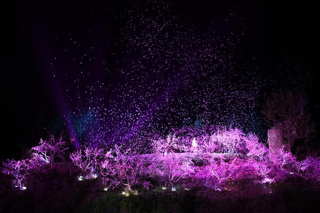 桃花源 夜景 秦溪