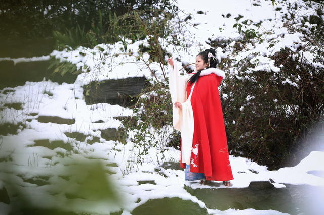 植物园  雪景
