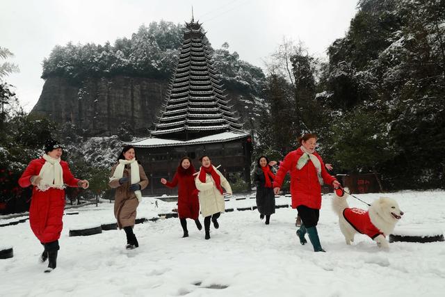 侗寨 春雪 盛景 游客 雪趣