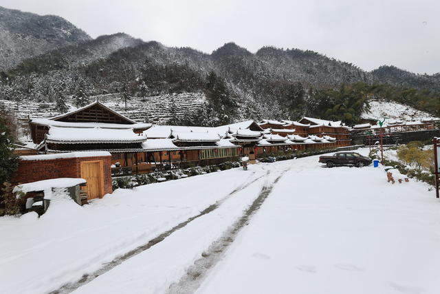 雪景