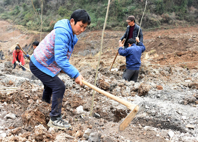  Abandoned mines in Lixian County, Changde County, afforestation Jinshan Yinshan