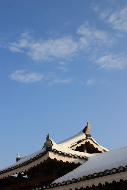 雪景