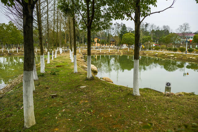 蔡锷故里   邵阳市大祥区蔡锷乡蔡锷村   国家3A级景区
湖南省爱国主义教育基地   
全国重点文物保护单位
