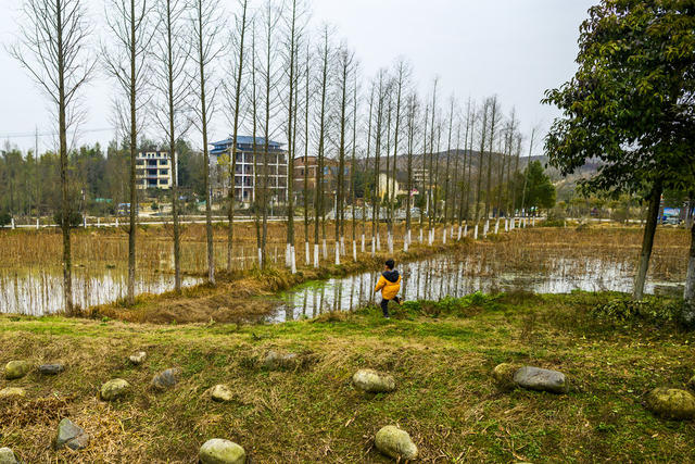 蔡锷故里   邵阳市大祥区蔡锷乡蔡锷村   国家3A级景区
湖南省爱国主义教育基地   
全国重点文物保护单位