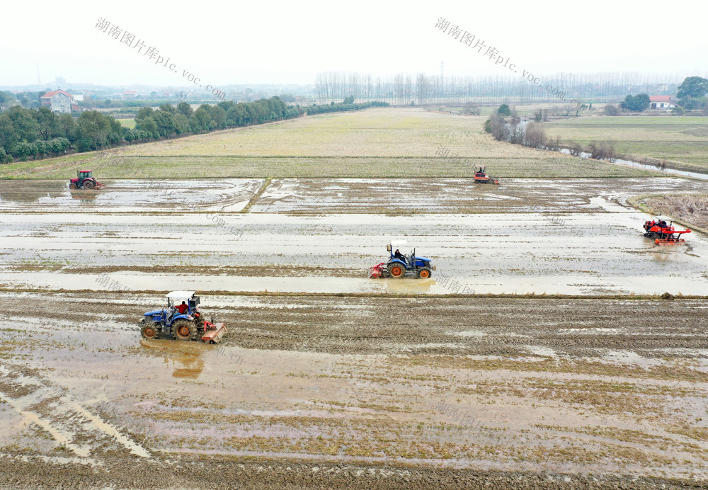 粮食安全   早稻生产   机械化  秧田整理