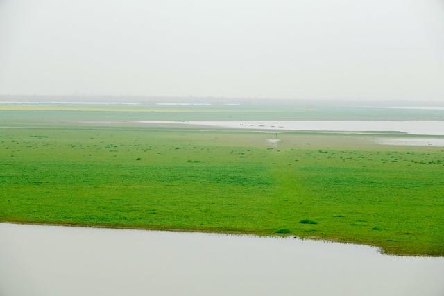 洞庭湖 湿地 自然 环境 西洞庭湖