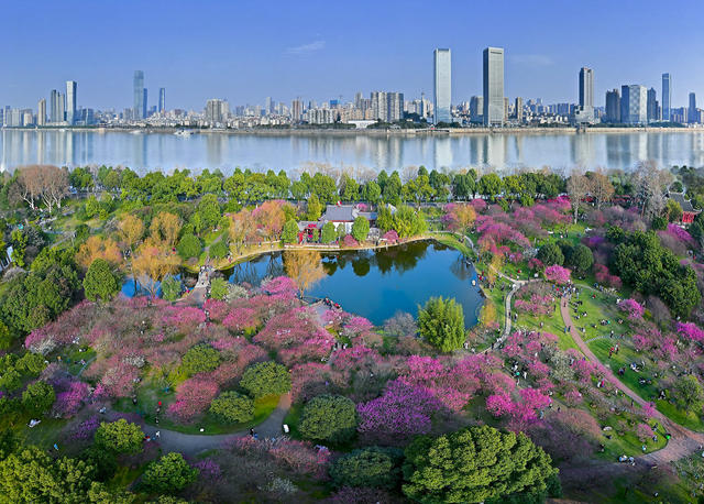长沙 城市 春天 花卉 旅游 