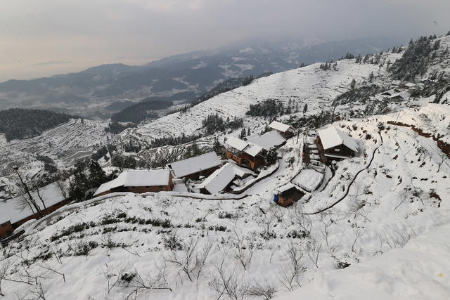 紫鹊界雪景
