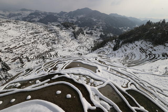 紫鹊界雪景