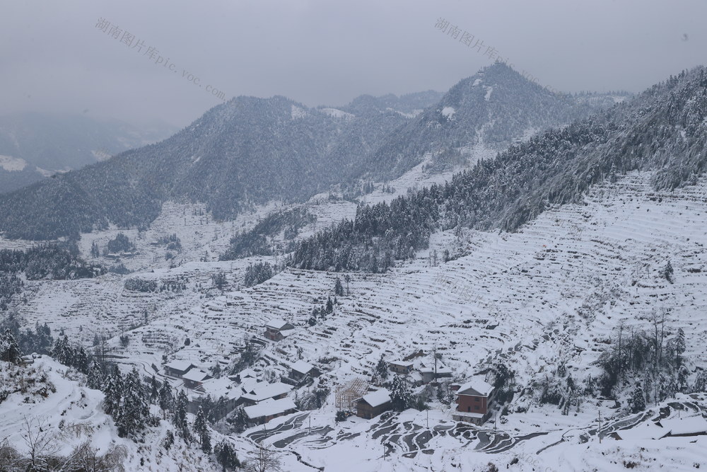 紫鹊界雪景