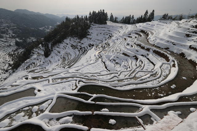 紫鹊界雪景