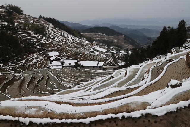 紫鹊界雪景