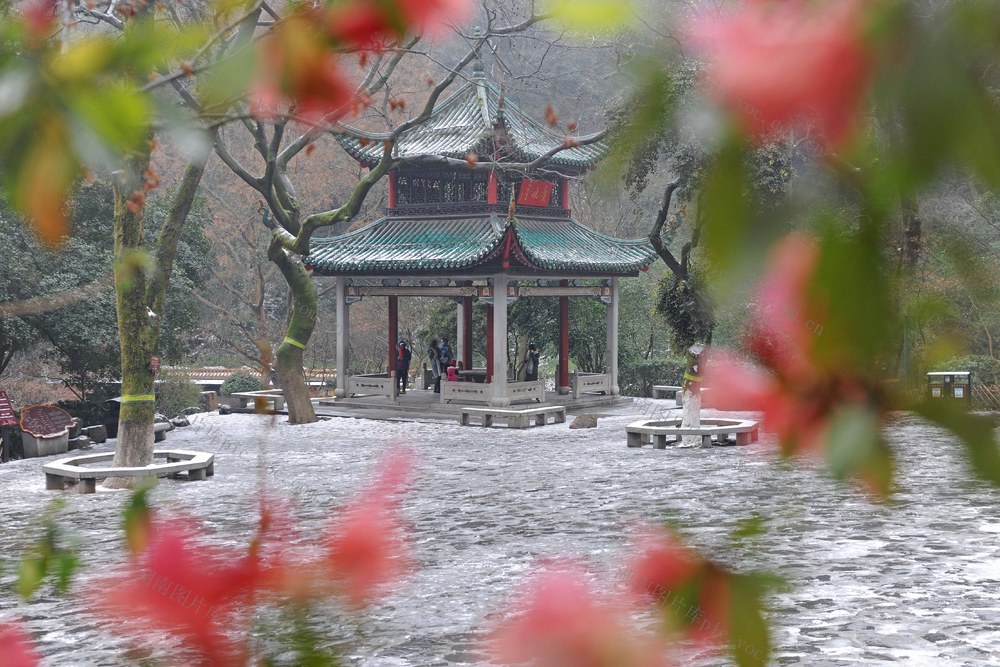 爱晚亭 雪  第一场雪 