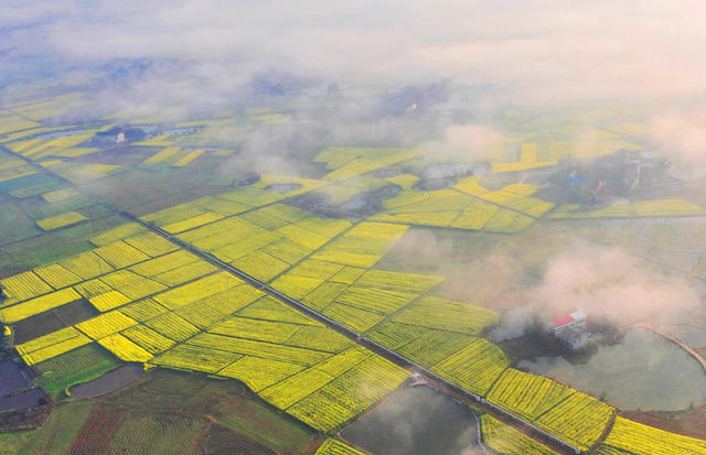 田野 春意 美景