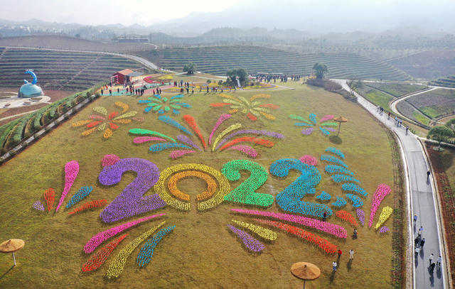 安化 茶乡花海 旅游 乡村振兴