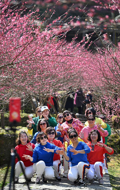 永顺 土家族 陈家坡 梅园 乡村振兴 美丽乡村