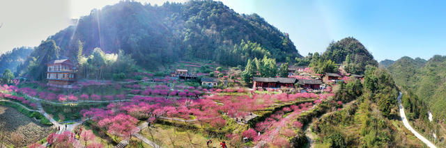 永顺 土家族 陈家坡 梅园 乡村振兴 美丽乡村