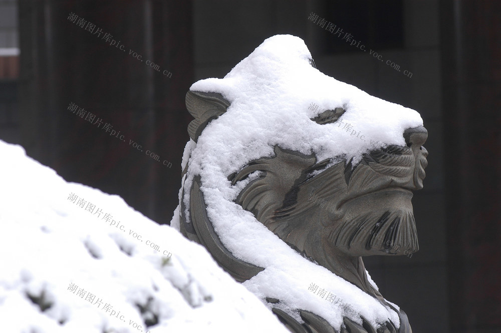 石雕   狮子  雪