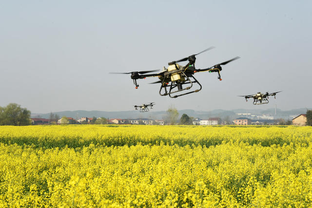  Professional flight prevention of rape pests and diseases UAV