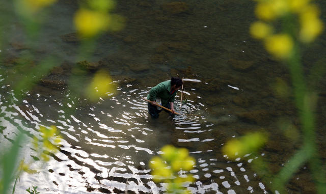 桃花虫 捕捞 苗家 佳肴
