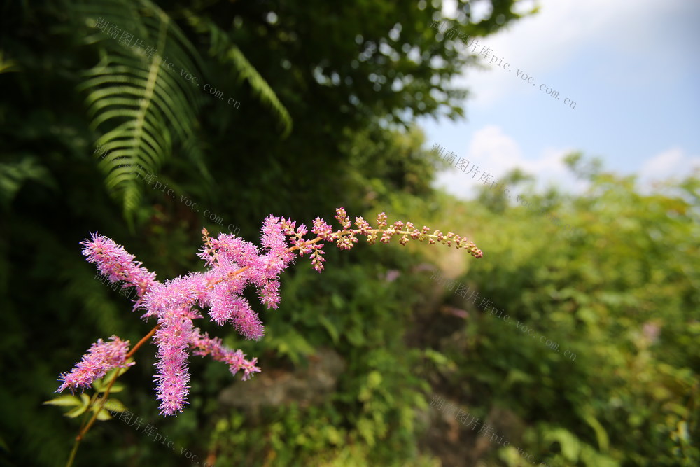 沅江探源