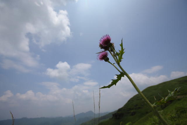 沅江探源