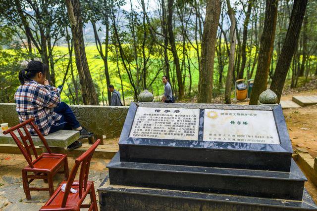 望城区  茶亭镇  清代石塔
惜字塔   湖南省重点文物保护单位。
