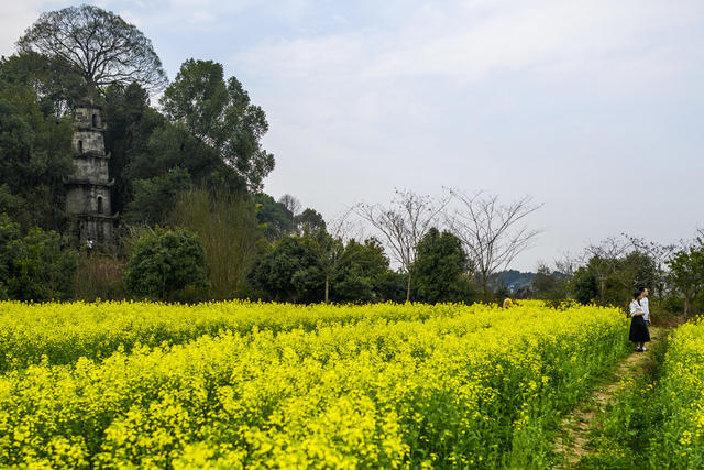 望城区  茶亭镇  清代石塔
惜字塔   湖南省重点文物保护单位。